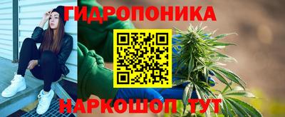 индика Пугачёв