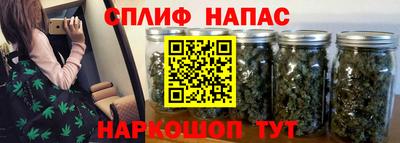 индика Пугачёв