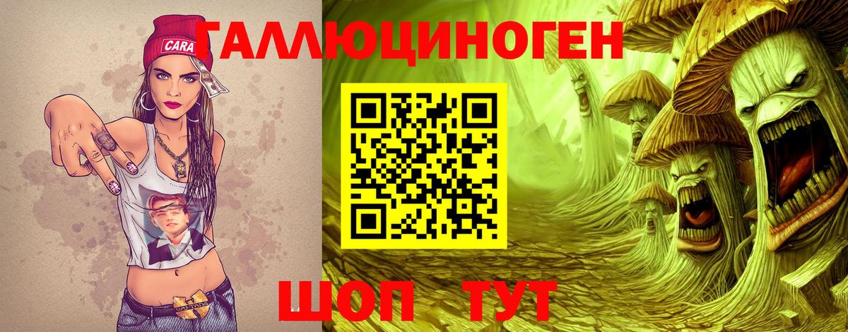 Псилоцибиновые грибы Psilocybe Анапа