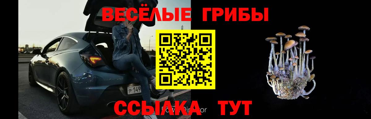 Анапа  Псилоцибиновые грибы Cubensis  Вход с VPN  Галлюциногенные грибы мицелий 